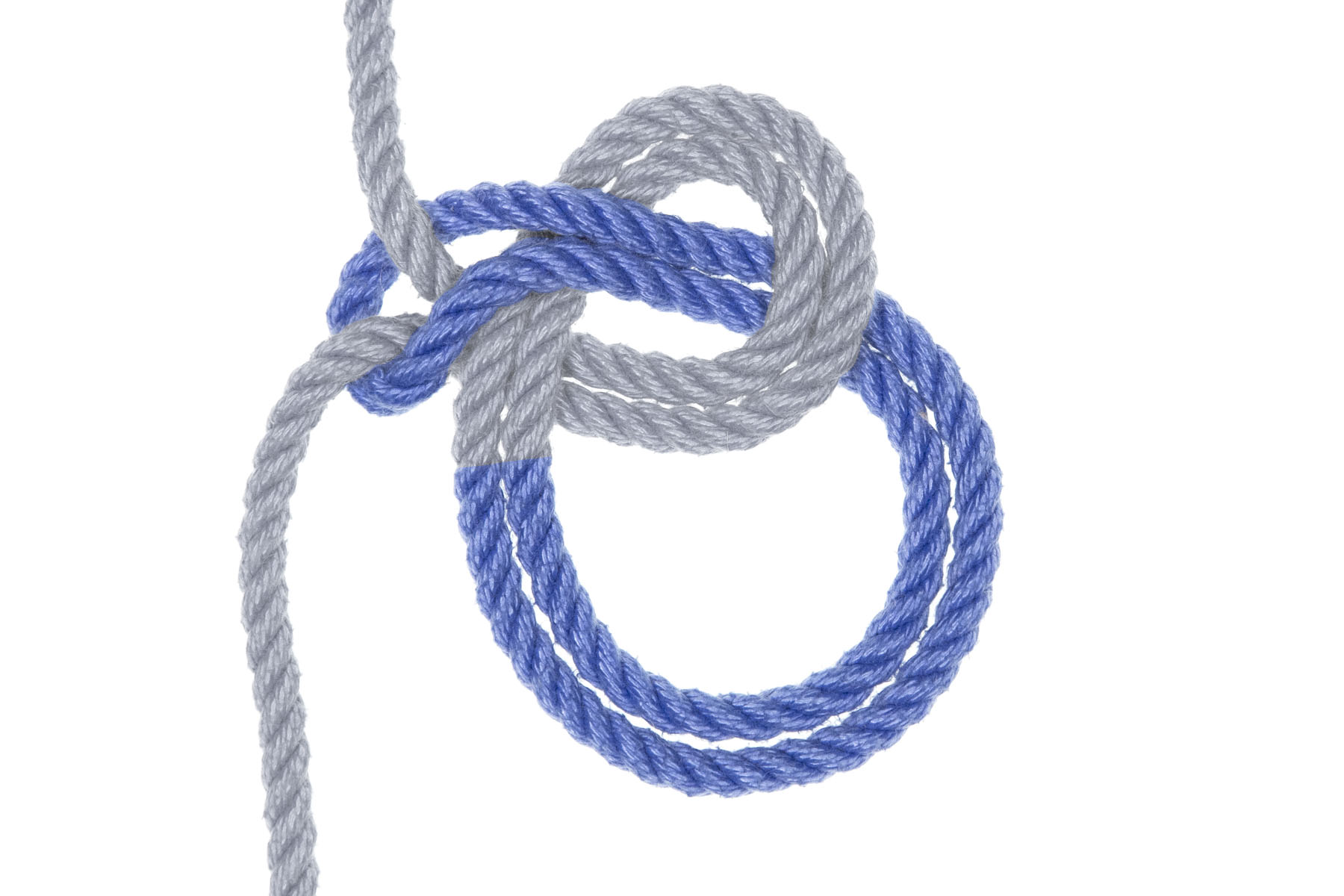 Grasp the strands of rope right before the bight comes out of the original loop and pull on them, pulling most of the bight back out of the original loop and tightening it around the vertical lines. This will create a new loop facing toward the lower right of the image.