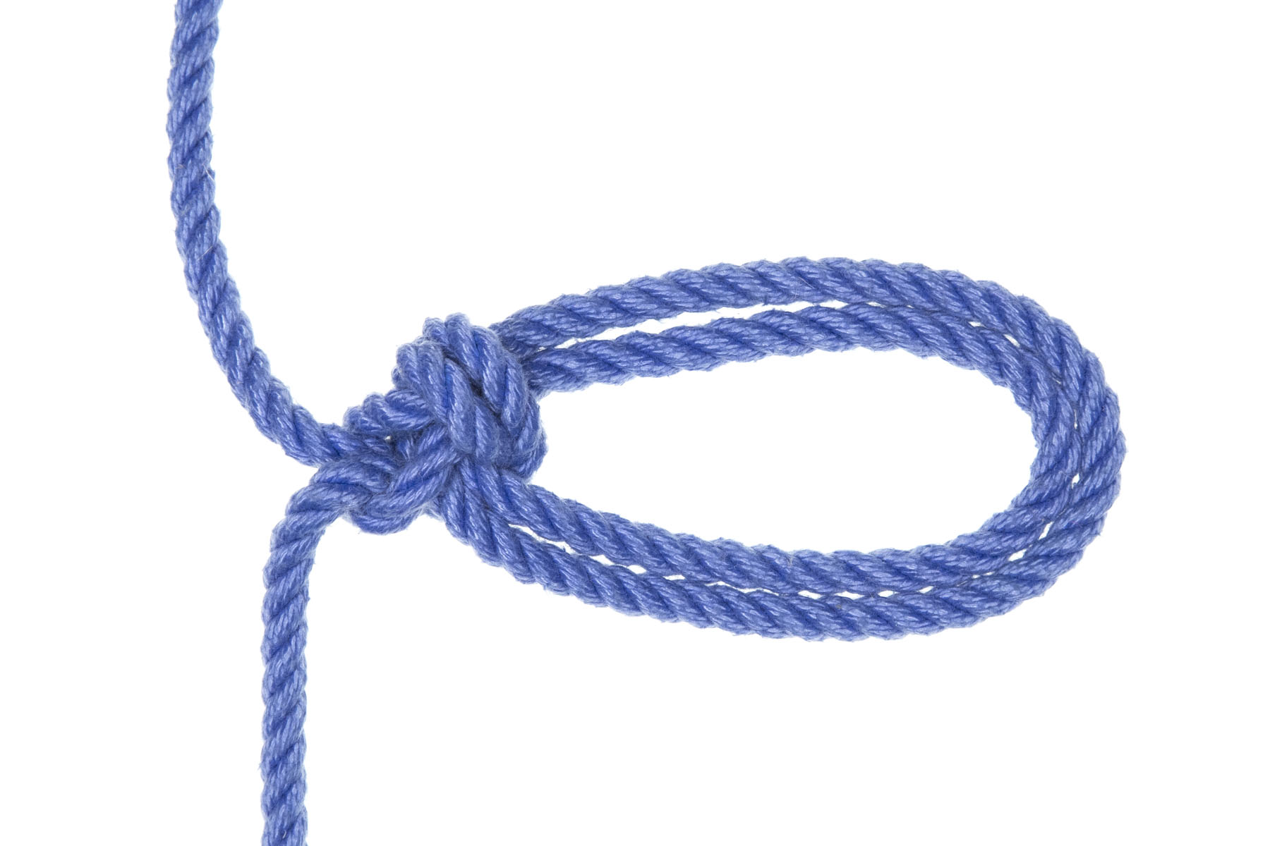 A completed bowline on a bight. A single strand of blue rope traverses the image from top to bottom. In the middle of the image, the rope makes a knot. A six inch loop of doubled rope extends out of the knot to the right.