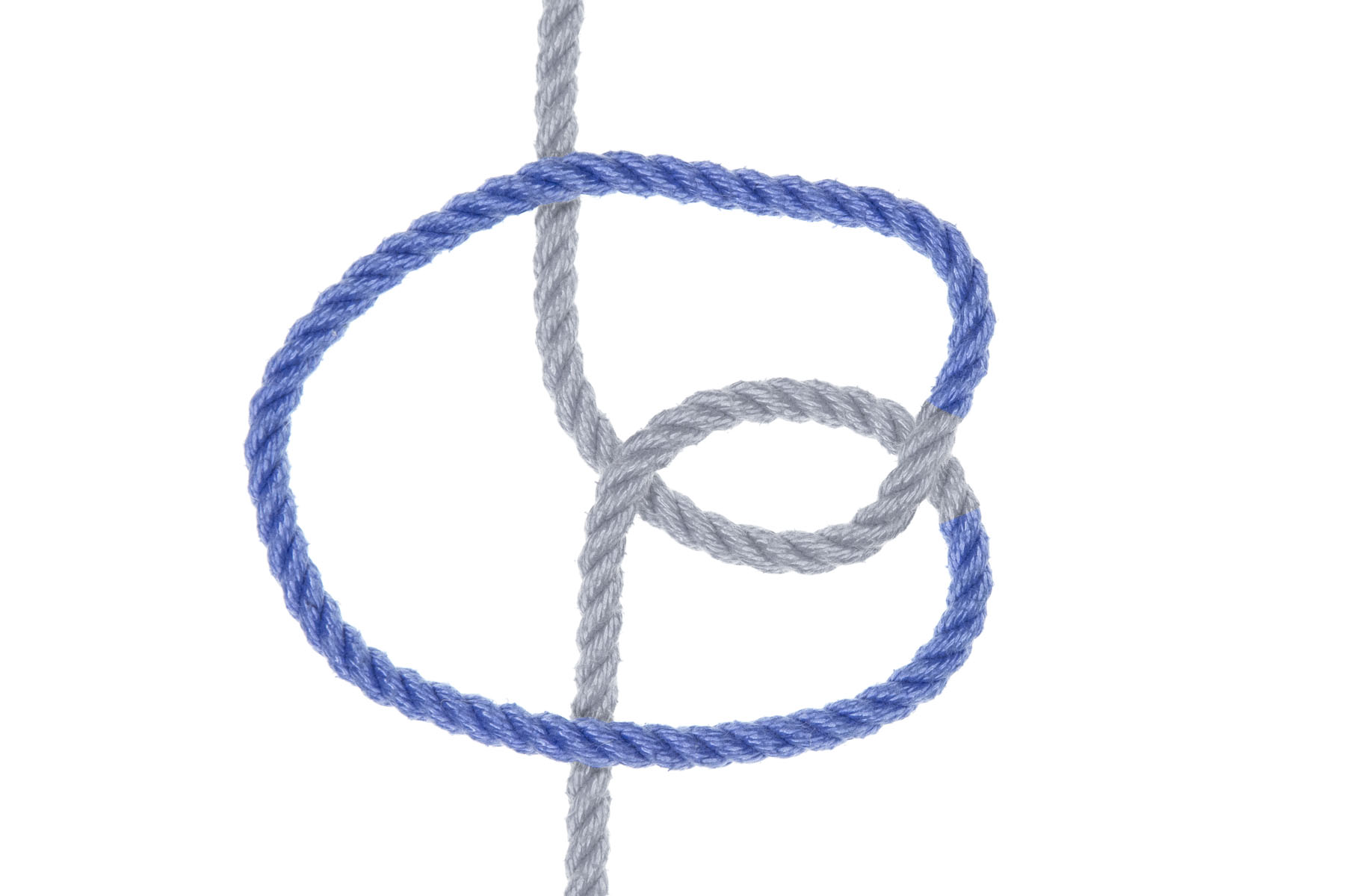 The vertical ends of the rope and the first part of the bight are unchanged. But right after the second twist, the larger part of the bight has been flipped over so it points to the left. This part of the bight now encircles the first twist and crosses over the vertical ends of the rope.