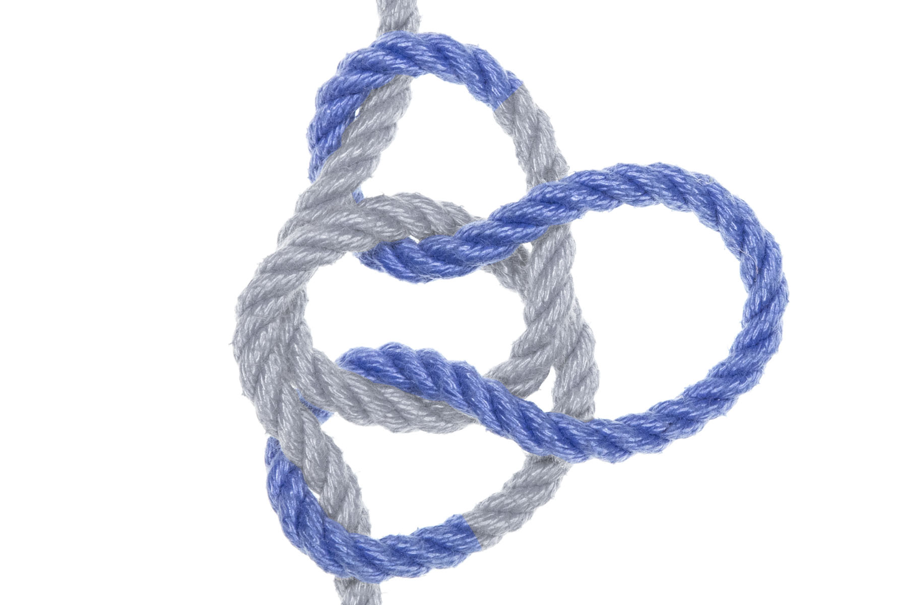 The part of the bight that faced to the left is has been pulled through the small space between the first and second twists. It crosses under the first twist, comes up between them, and crosses over the second twist.