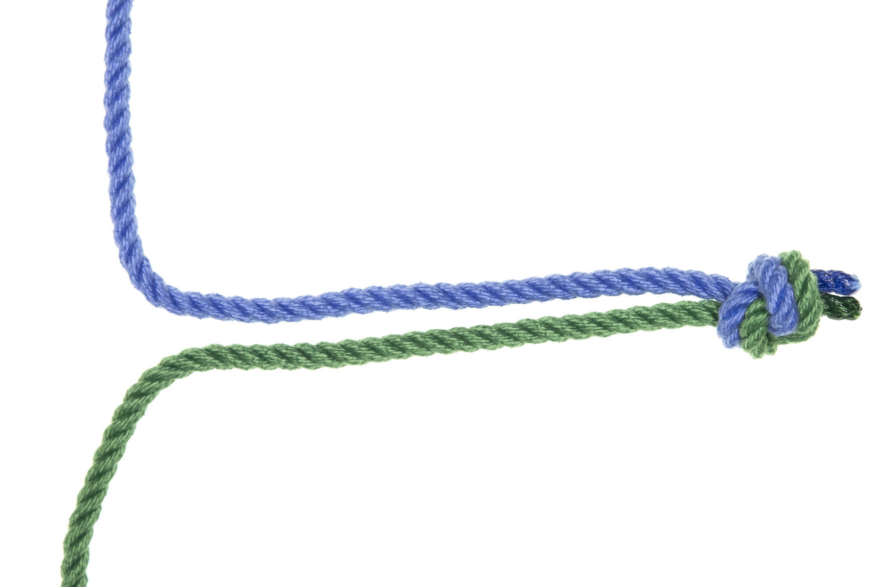 A single blue rope enters from the top of the frame and turns toward the right of the frame. A single green rope enters from the bottom and turns toward the right, running next to the blue rope. After about twelve inches of travel, the ends of the two ropes are tied together in an overhand knot.