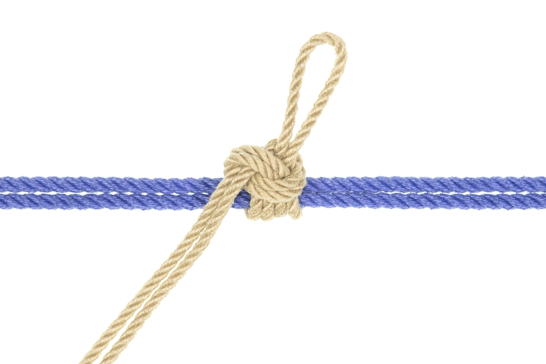 A double blue rope crosses the image horizontally. A double tan rope enters from the lower left and is tied around the blue rope with a snug Somerville bowline. The Somerville makes two snug wraps around the blue rope before forming a compact knot with a three inch bight emerging from it.