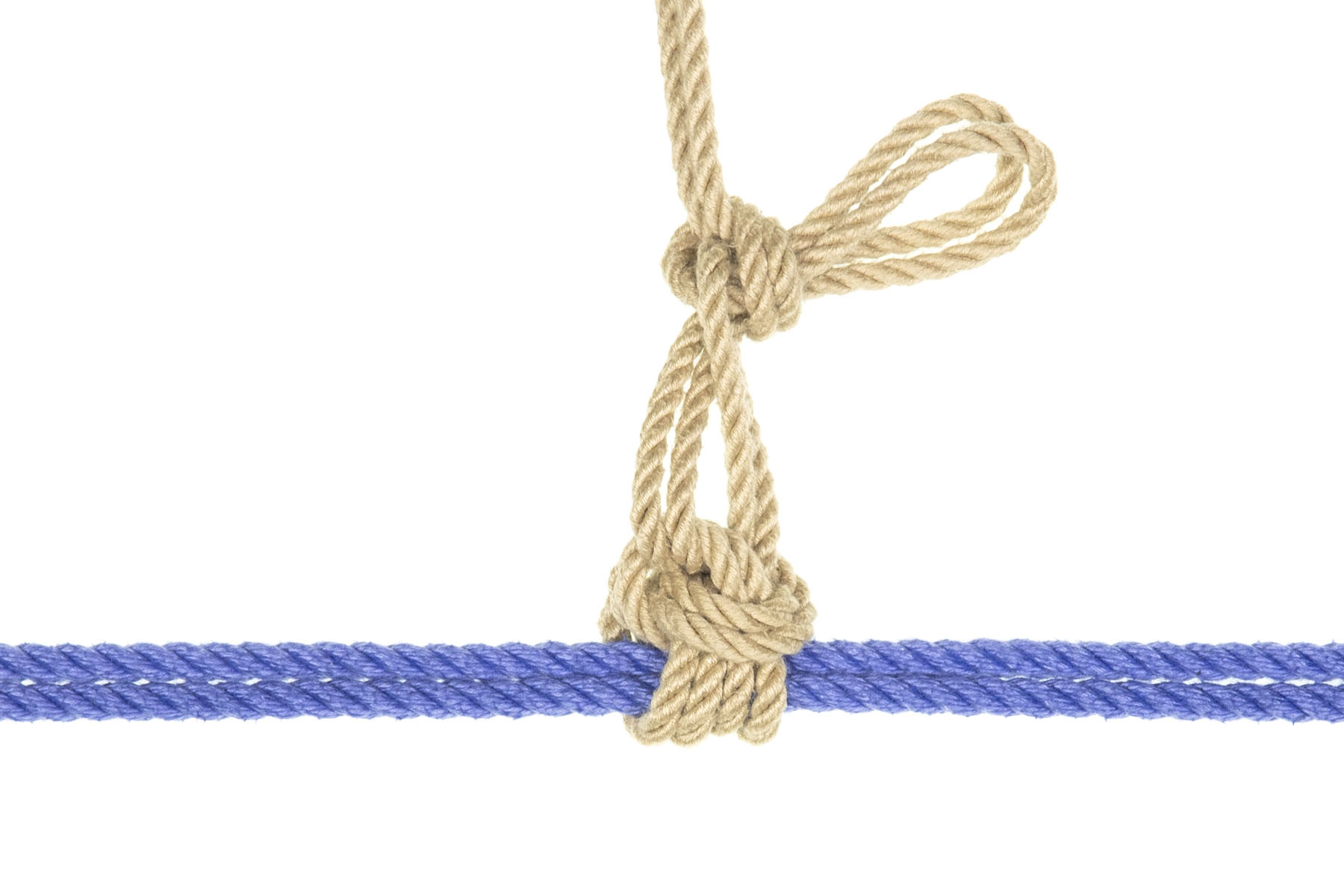 A doubled blue rope crosses the image horizontally. A doubled tan rope has been tied in a snug Somerville bowline around the blue rope. Two double lengths of tan rope travel up the image two inches away from the Somerville, then make a yuki knot. A three inch long bight extends out from the yuki knot. The tail of the rope exits to the top of the image.